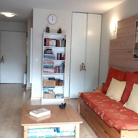 Le 102, T3 Pour 5 Personnes, Vue Montagne, Classe 2 Etoiles Nf, Parking, Piscine En Ete Bagnères-de-Luchon Zewnętrze zdjęcie