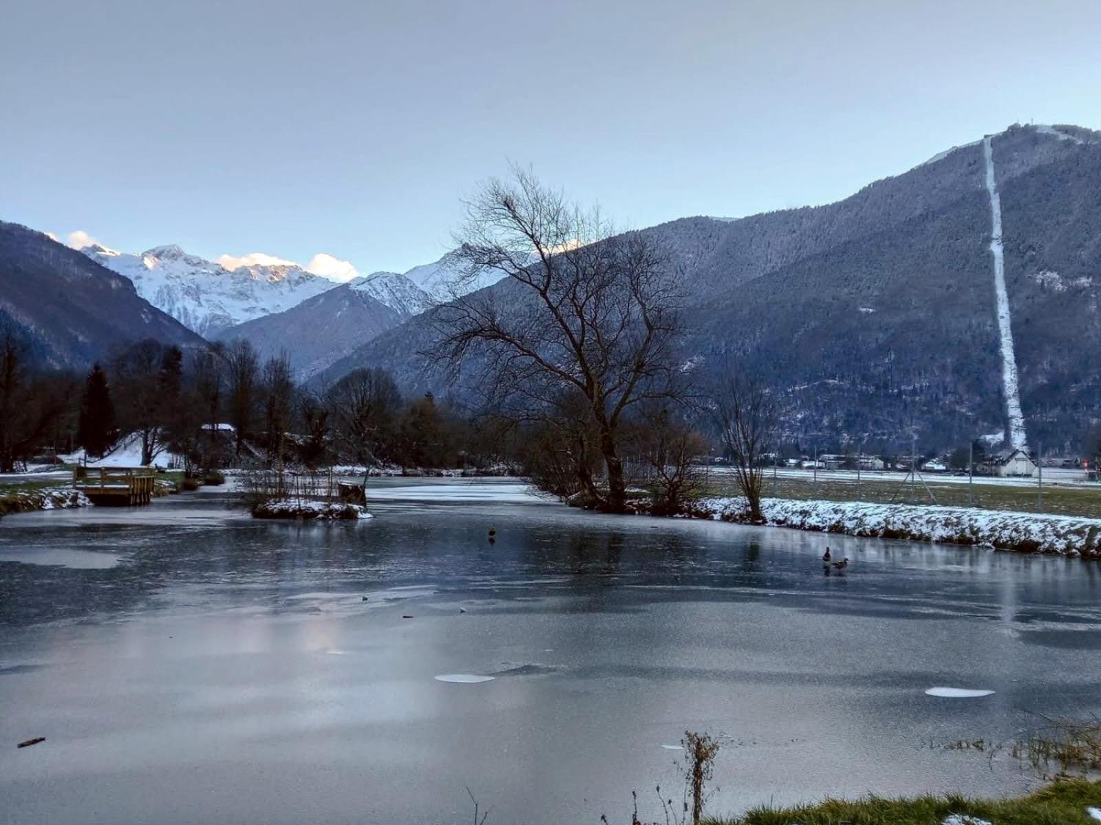 Le 102, T3 Pour 5 Personnes, Vue Montagne, Classe 2 Etoiles Nf, Parking, Piscine En Ete Bagnères-de-Luchon Zewnętrze zdjęcie