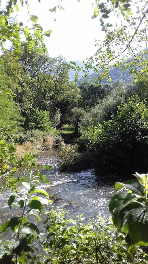 Le 102, T3 Pour 5 Personnes, Vue Montagne, Classe 2 Etoiles Nf, Parking, Piscine En Ete Bagnères-de-Luchon Zewnętrze zdjęcie